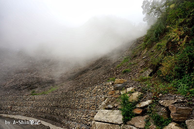 屏東台24線生態漫步