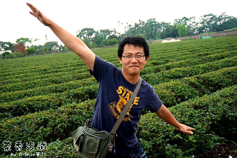 南投茶香步道