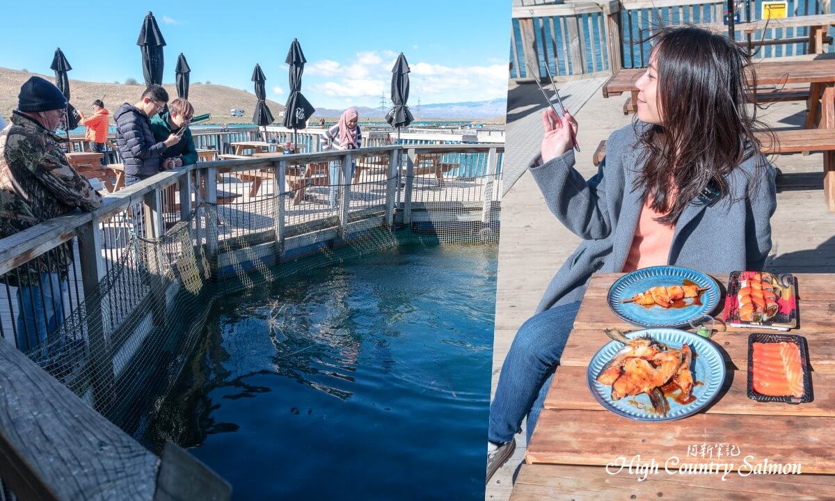 高地鄉村鮭魚,High Country Salmon,紐西蘭高地鮭魚,Twizel 美食,Twizel 鮭魚,Twizel 餐廳