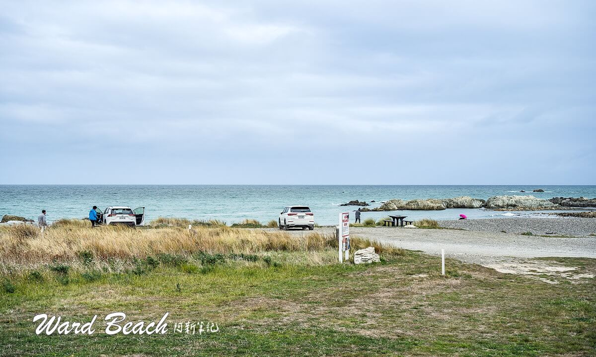 Ward Beach,瓦德海灘,紐西蘭秘境海灘,紐西蘭冷門景點,紐西蘭海岸景點,南島海灘推薦,Marlborough景點,Ward紐西蘭,紐西蘭馬爾堡景點,紐西蘭自然風景,紐西蘭沿海自駕,南島景點推薦,紐西蘭拍照景點,紐西蘭地質景觀,紐西蘭火山岩海岸,紐西蘭自由行,南島海邊推薦,紐西蘭看海景點,紐西蘭少人海灘