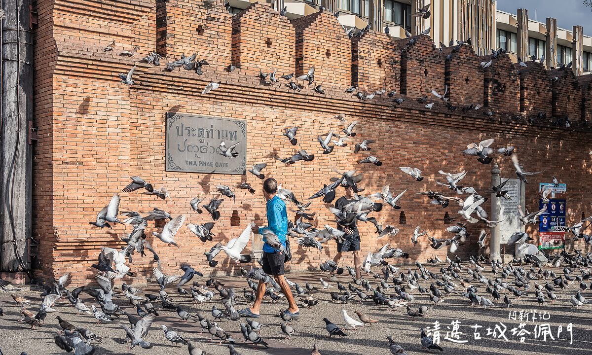 清邁古城塔佩門,塔佩門,清邁景點,泰國清邁,清邁旅遊,Tha Phae Gate