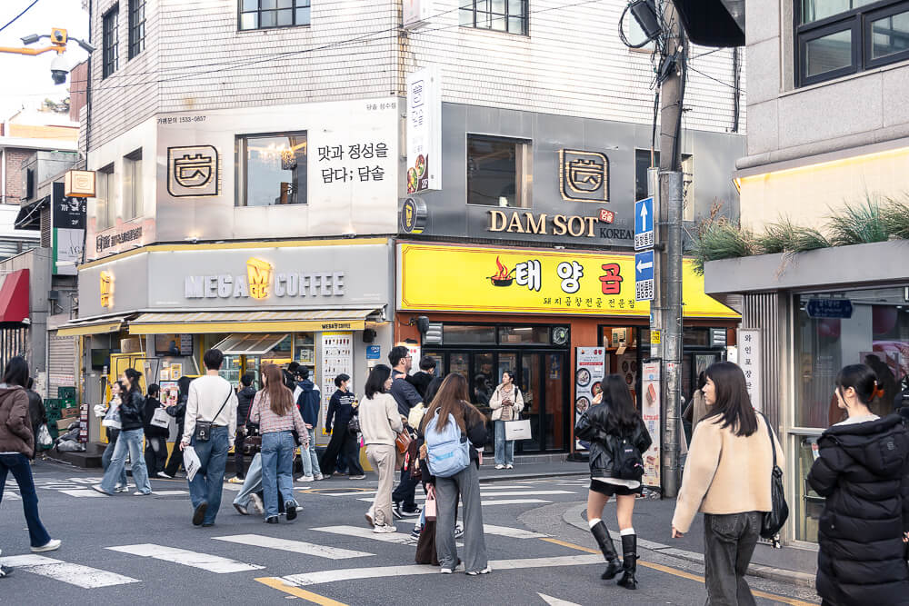 阿新與飄飄的韓國旅遊記錄