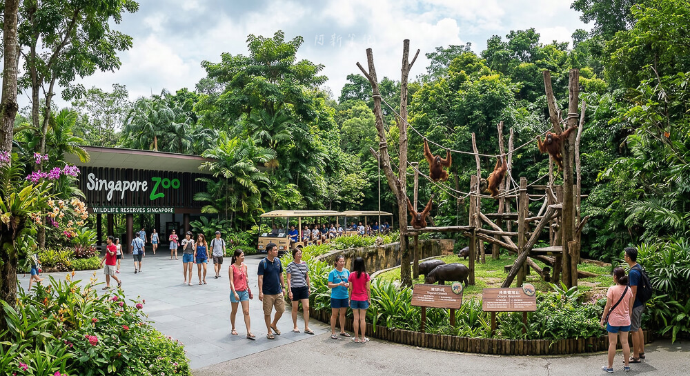 新加坡動物園／Mandai 多園聯票