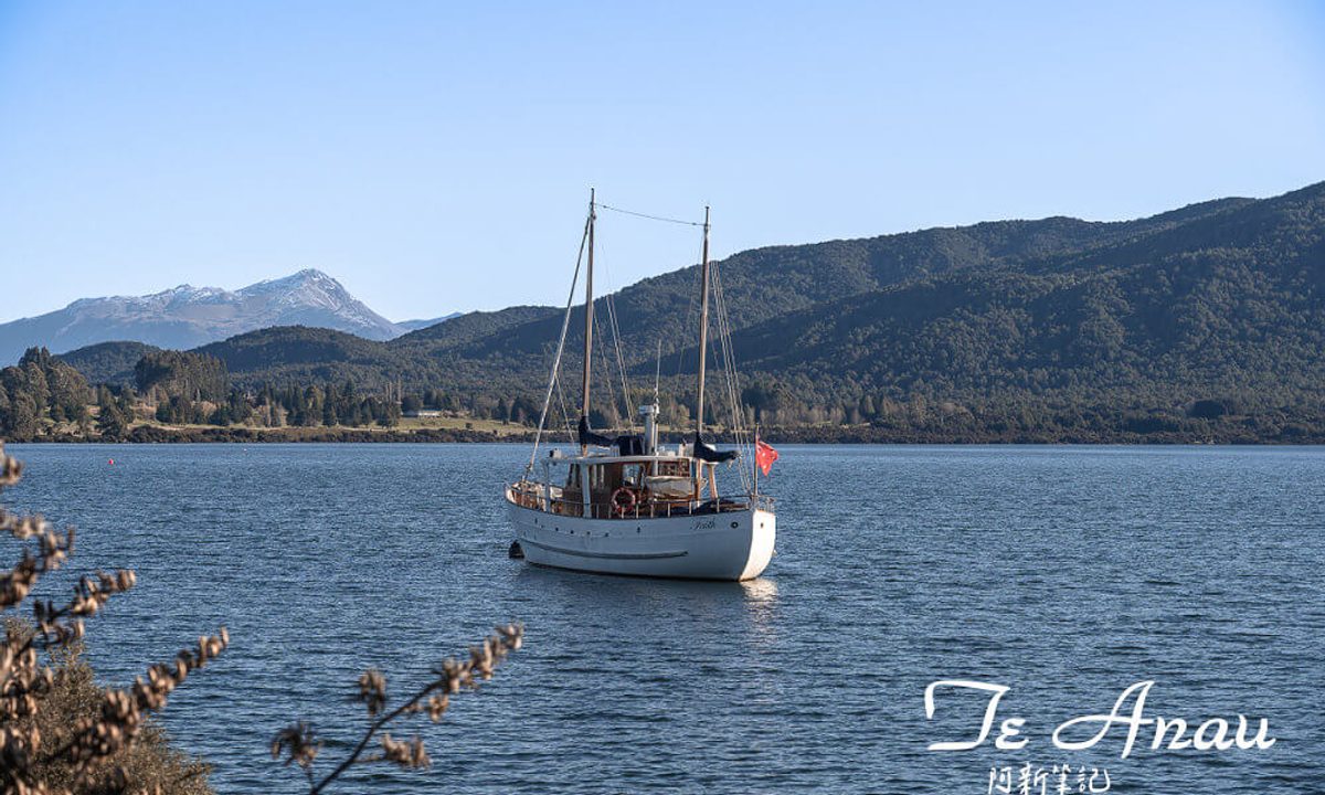 紐西蘭 蒂阿瑙湖 Te Anau